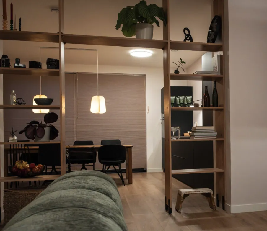 Room divider in a private residence